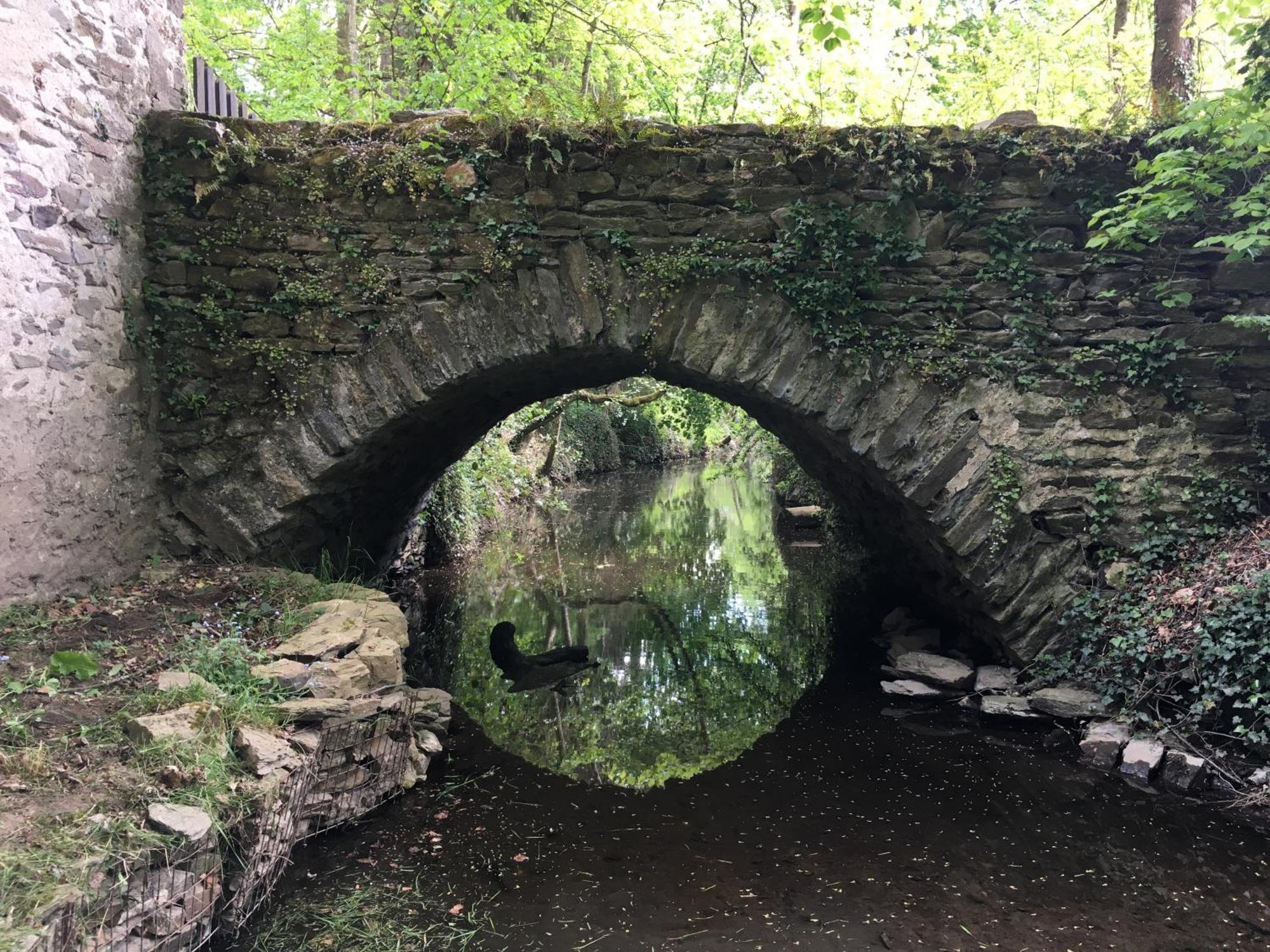 Chambre Sur Une Ile Saint-Bonnet-de-Rochefort المظهر الخارجي الصورة